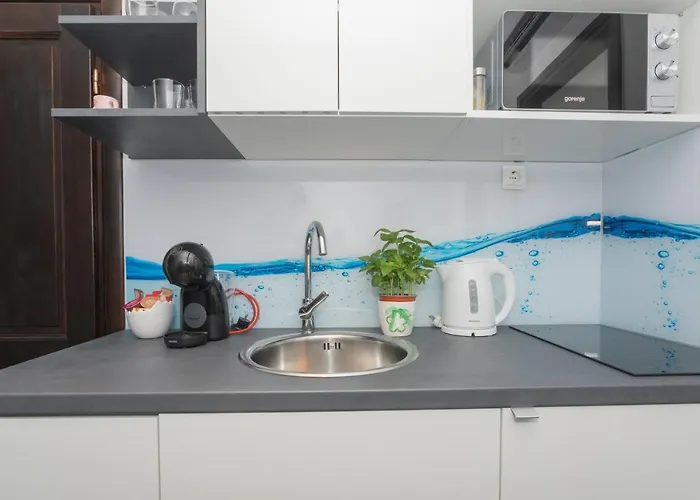 Libra Downtown Appartement *